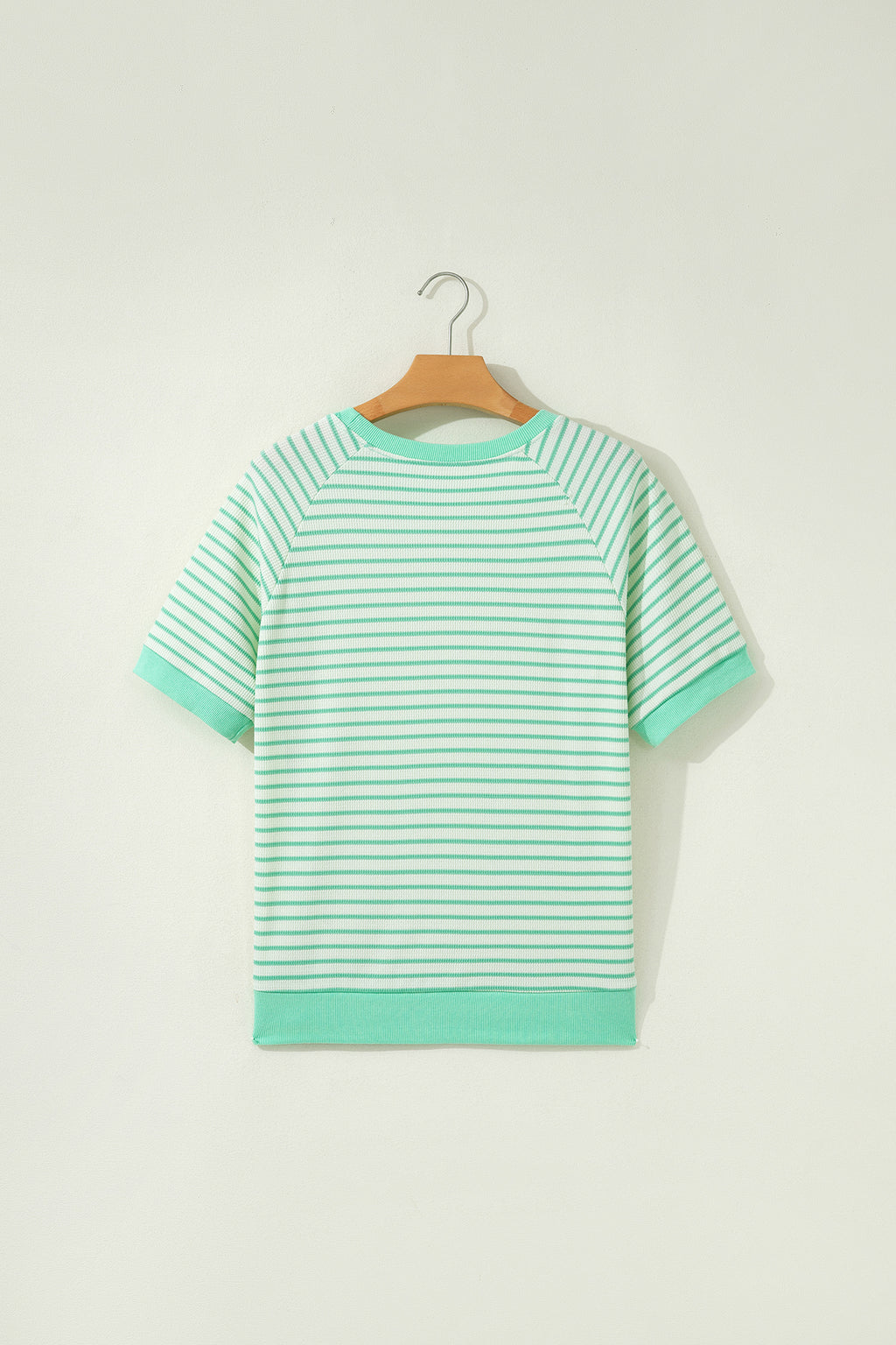 Shop Women's Stripe Colourblock Trim Round Neck Short Sleeve Tee Top Green at LivelyLooks