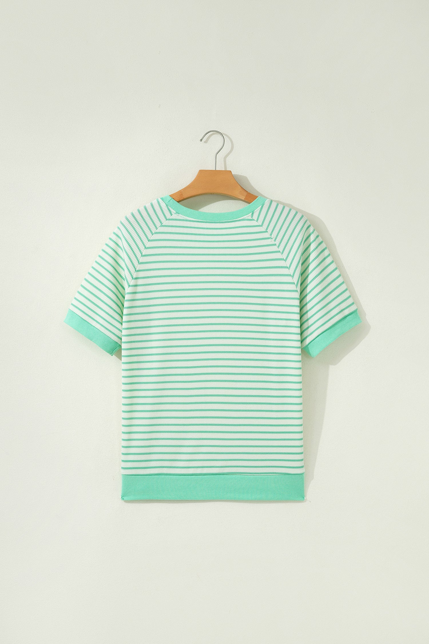 Shop Women's Stripe Colourblock Trim Round Neck Short Sleeve Tee Top Green at LivelyLooks