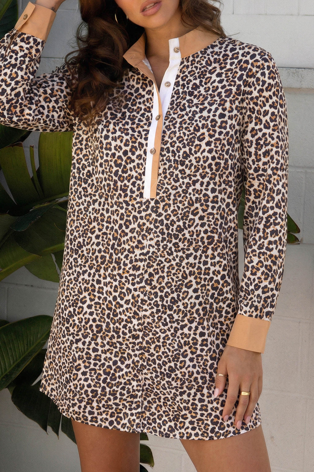Women's Khaki Button Striped Collar Leopard Print Long Sleeve Flared Dress at LivelyLooks