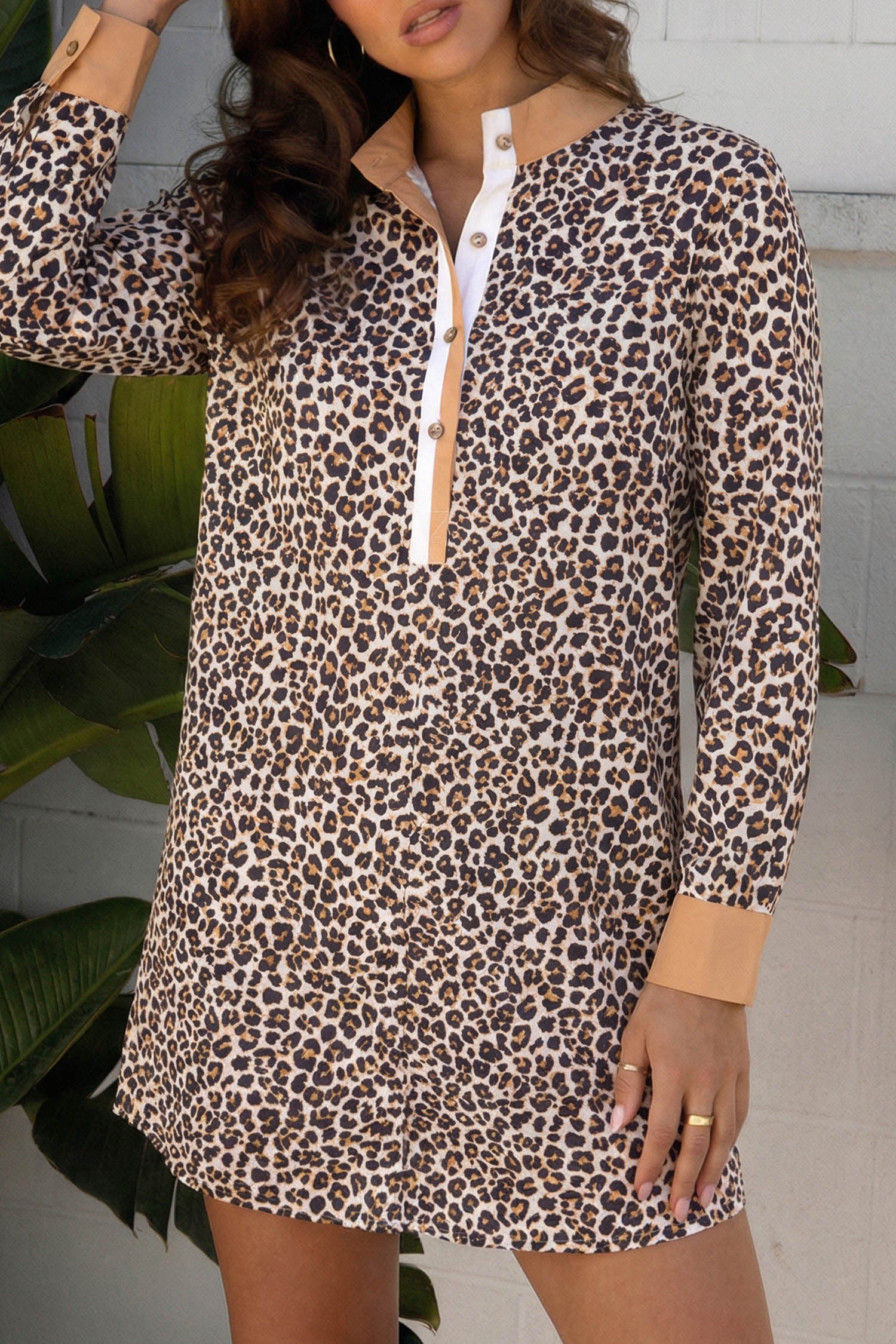 Women's Khaki Button Striped Collar Leopard Print Long Sleeve Flared Dress at LivelyLooks